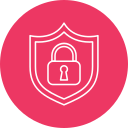 sistema de seguridad icon