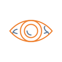 ojos icon