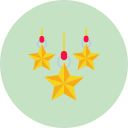 estrella de navidad icon