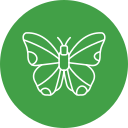 mariposa icon