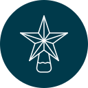 estrella icon