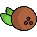 coco icon