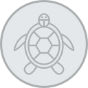 tortuga icon