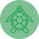 tortuga icon