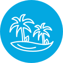 palmera icon