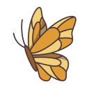 mariposa icon