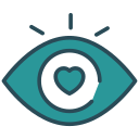 ojo icon