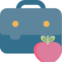 bolsa icon