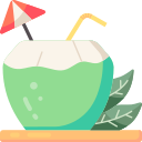 bebida de coco icon