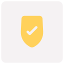 seguridad icon