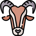 Qurbani icon