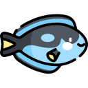 Surgeon fish 