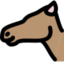 camello icon