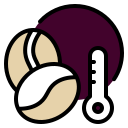 temperatura icon