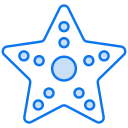 estrella de mar 