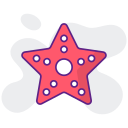 estrella de mar icon