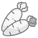 cenoura icon