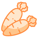 Carrot icon