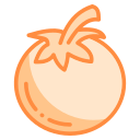 Tomato icon