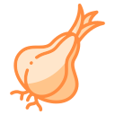 Onion icon