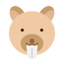 cara de castor 