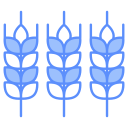 trigo icon