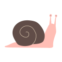 caracol