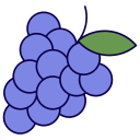 uvas icon