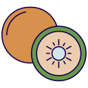 kiwi icon