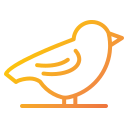 pájaro icon