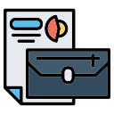 portafolio icon