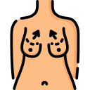 anatomia ikona