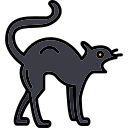 gato negro icon