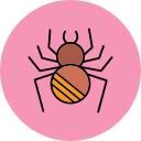 araña icon