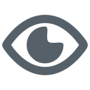 ojo icon