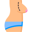 Anatomia 