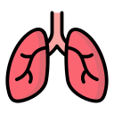 pulmones 