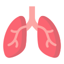 pulmones icon