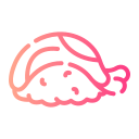 sushi icon