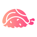 sushi icon