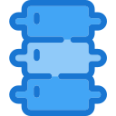 Columna vertebral 