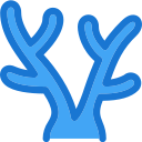 Coral icon