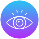 ojo icon