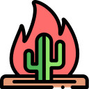 Cactus icon