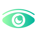 ojo icon