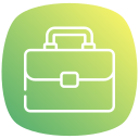 portafolio icon