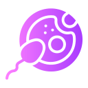 fertilisation 