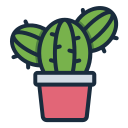 cactus icon