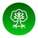 Árbol icon