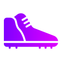 zapato icon